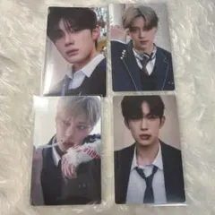 alphadriveone ald1 jewelver トレカ