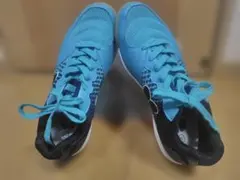 Item thumbnail for item e9a6c9de-0c81-497b-b41a-000d696e0edd