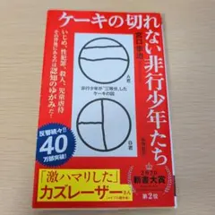 ケーキの切れない非行少年たち 宮口幸治