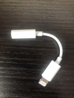 ⭐️お得⭐️iPhone 変換アダプタ 純正＋イヤホン付けます♪