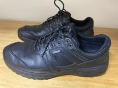 Item thumbnail for item e3120715-88f4-4883-9075-2a6b9ca740cd