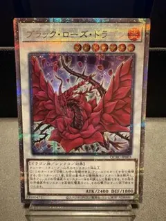 ブラックローズドラゴン 25thシークレット