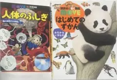 【初版】図鑑move 人体のふしぎ＋はじめてのずかん