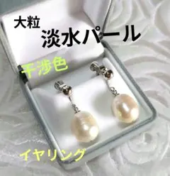 極美品✨虹色淡水パール 揺れる大粒バロックイヤリング ネジバネ式