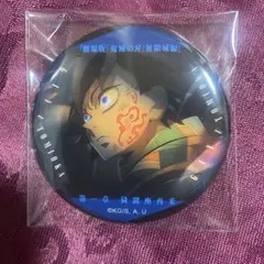 鬼滅の刃無限城編ものがたる眼差しコレクション缶バッジA冨岡義勇