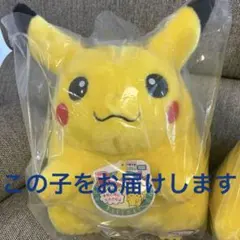 ポケモン30周年記念おかえり!ピカチュウ1/1