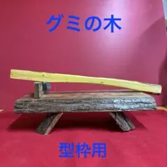 2025年最新】グミの木 原木の人気アイテム - メルカリ