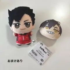 黒尾鉄朗　ちびぐるみ　おまんじゅう