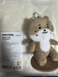 SEVENTEEN MINITEEN セブチ ミニティーン チャンダリ ディノ