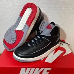 25cm ナイキ エアジョーダン 2 レトロ DQ8562-001