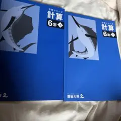 四谷大塚　予習シリーズ 計算　6年　算数 上下