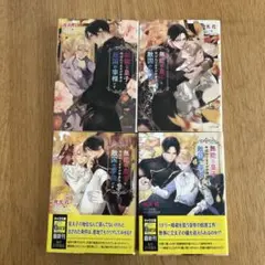 無能な皇子と呼ばれてますが中身は敵国の宰相です1巻〜4巻