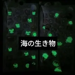 海の生き物 　光る　ステッカー　 セット　ぷっくり　サメ　ペンギン　アザラシ