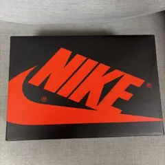 Nike Air Jordan 1 Retro Low OG 