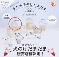 うちの子のけだまだま　犬　 ポメラニアン　ガチャ　正規品 ペテモ　限定　完売