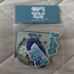 2026年最新】WILD_BLUEの人気アイテム - メルカリ