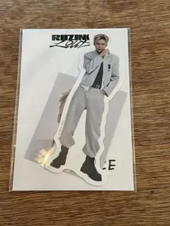RIIZE RIIZING LOUD ランダムトイ ステッカーセット ウンソク