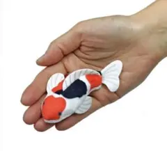 Item thumbnail for item 99a581cd-1008-48da-92de-76683be649db