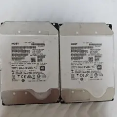 HGST 10TB SAS HDD 2台セット ジャンク - メルカリ