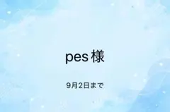pes様　専用ページ