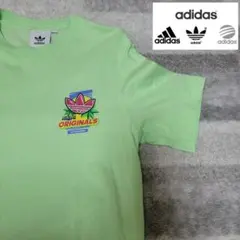 アディダスオリジナルス プリントTシャツ ライトグリーン 古着