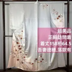 Item thumbnail for item 87bc9955-581b-4ccc-8125-47cc633b4551