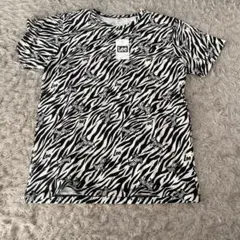 Item thumbnail for item e94a393d-9be9-4209-8b96-2e7fea348bb6