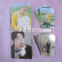 ■SEVENTEEN■ Carat盤　バインダー　トレカ　セット：ディノ