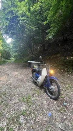 スーパーカブ C50 カスタム 125cc マニュアル4速 ピンクナンバー青梅市のサムネイル