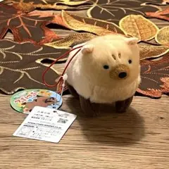 たぬぽんぽん VMC ❤︎ヤブ郎❤︎