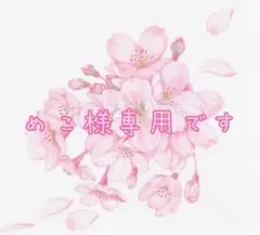 めこ様専用です(*´꒳`*)