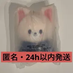 2026年最新】SKZOO 10cm アイエンの人気アイテム - メルカリ