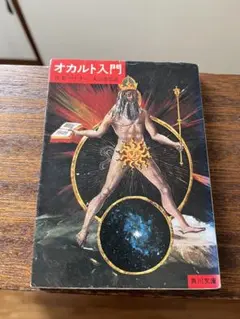 PC-9801用 『アルギースの翼』工画堂スタジオ 5インチ2HD - メルカリ