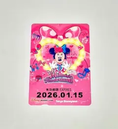 ミニーのファンダーランド パルパルーザ リゾートライン フリー切符