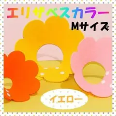 Item thumbnail for item 3a340314-2427-4e85-a860-d3e44c5b2cb5