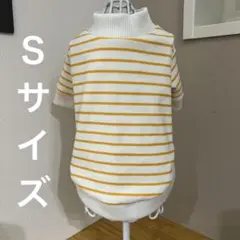 イエローボーダー