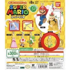 スーパーマリオ めじるしアクセサリー2 ノコノコ