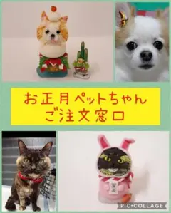 ⭐️お正月＆干支ペットちゃん　ご注文窓口⭐️