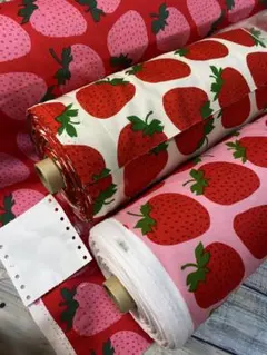 Item thumbnail for item e6f72c05-2dbe-48a1-a267-9e0be5a26a22