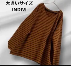 大きいサイズ！INDIVI ボーダーカットソー Ｖネック　ブラウン✖️ネイビー