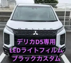 【りんむう様専用】ライトフィルム