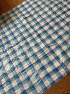 Item thumbnail for item 89c80dd7-aab5-4d64-9955-5c60dc5e3b62