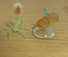 Item thumbnail for item 388030db-8b3a-4719-9284-d53fe081b382