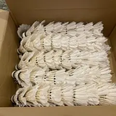 【中古】バドミントンシャトル100球のサムネイル
