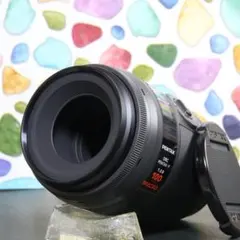 Item thumbnail for item a5370cad-c183-47ae-8c06-f3a583164dbf