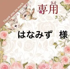 はなみず(おまとめ夜中になります)様 リクエスト 2点 まとめ商品