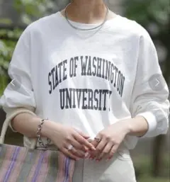 新品未使用チャオパニックティピーUSAコットンカレッジプリントスリットTEE