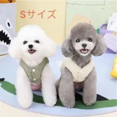 Item thumbnail for item d7eb8f27-2a92-4136-8747-4d974696ba19