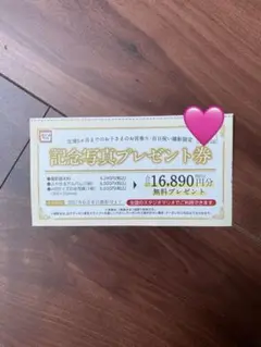 スタジオマリオ 割引券 クーポン 16,890円分のサムネイル