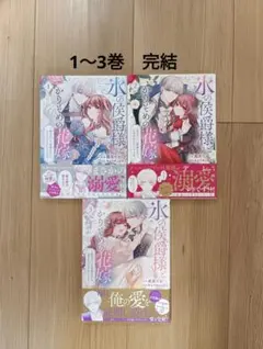 氷の侯爵様とかりそめの花嫁～愛のない王命婚なのに、なぜか溺愛されてます～ 全3巻